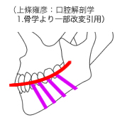 シングルスライスCTの検出器